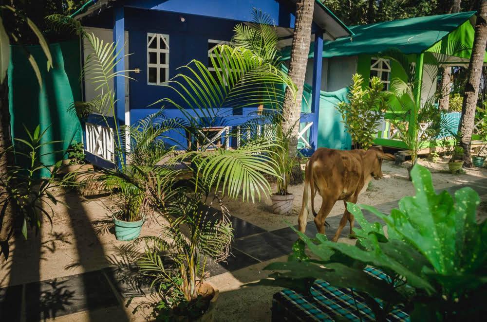Secret Beach Bungalows, Palolem Exterior photo